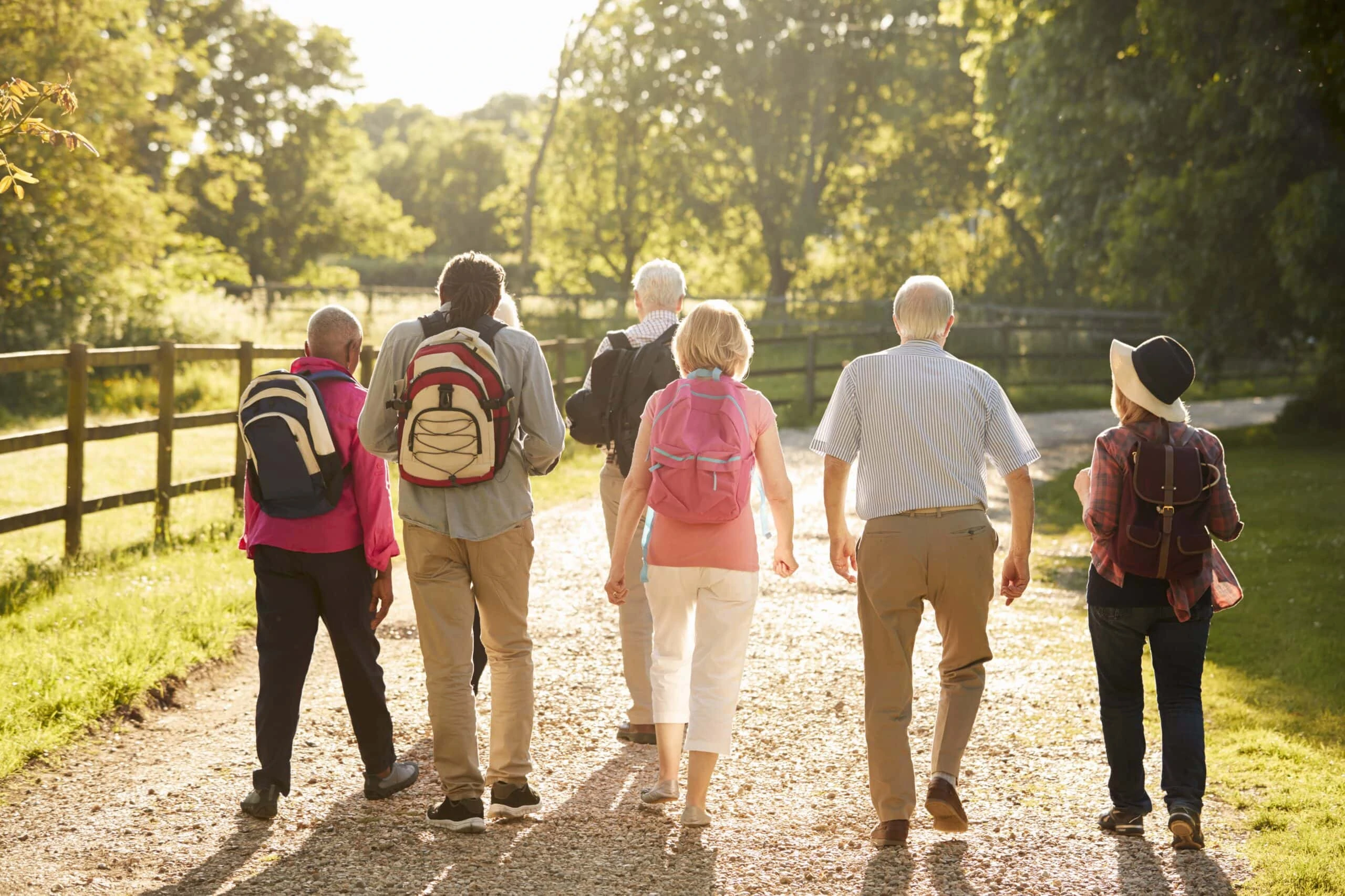 rear-view-of-senior-friends-hiking-in-countryside-PKUXSJ6-min